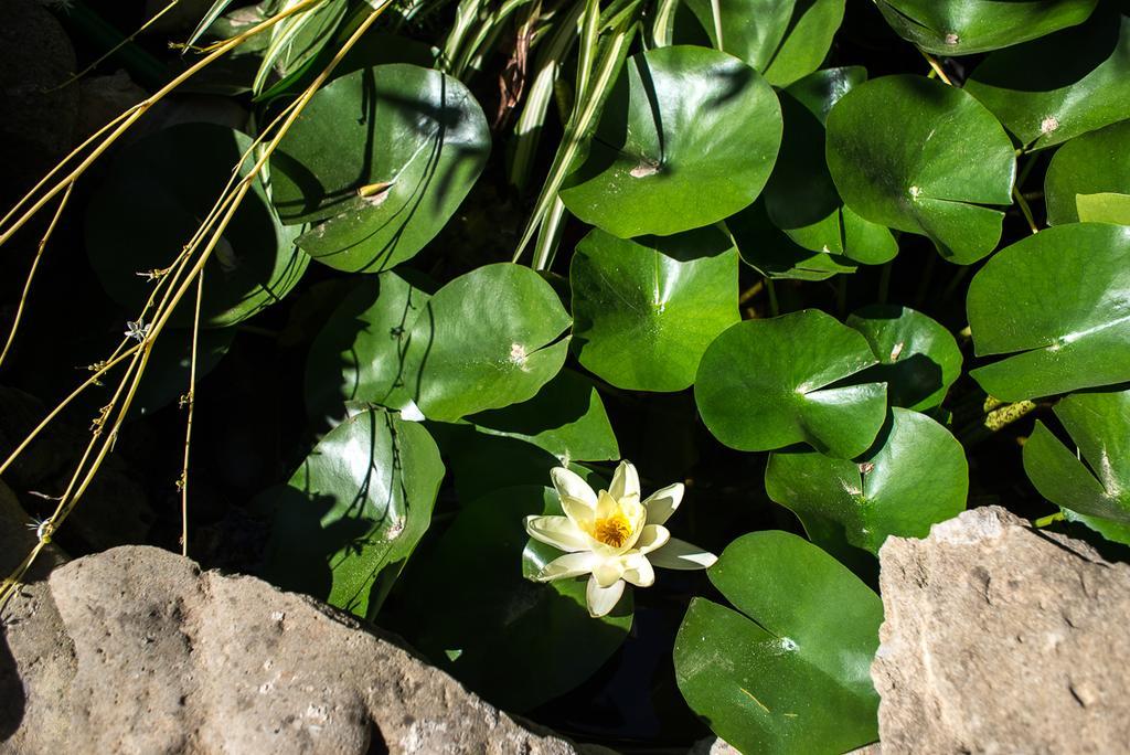 B&B Mare E Sole Brindisi Dış mekan fotoğraf